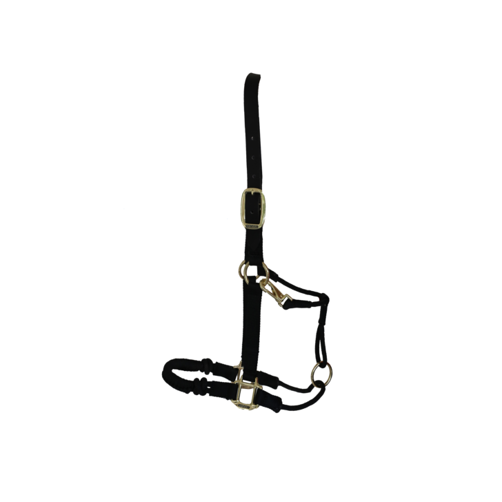 Licol de controle by KENTUCKY