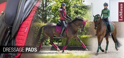 DRESSAGE