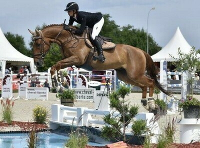 MIXTE/CSO