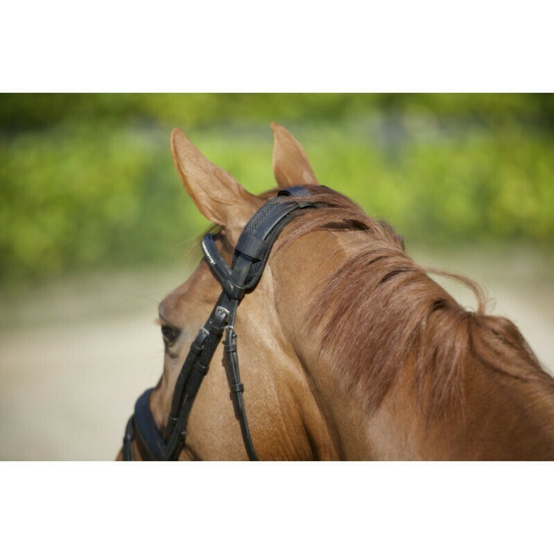Protege Nuque Velcro by BACK ON TRACK