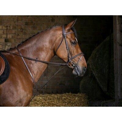 Martingale fixe by RIDING WORLD