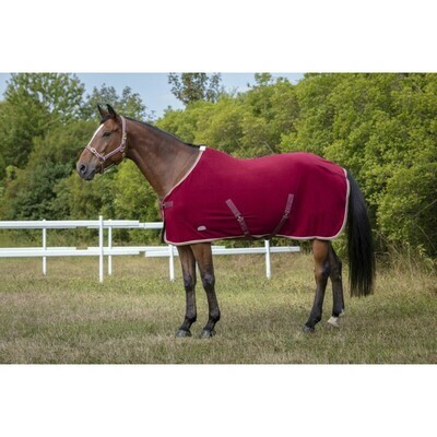 Chemise polyfun by EQUITHEME