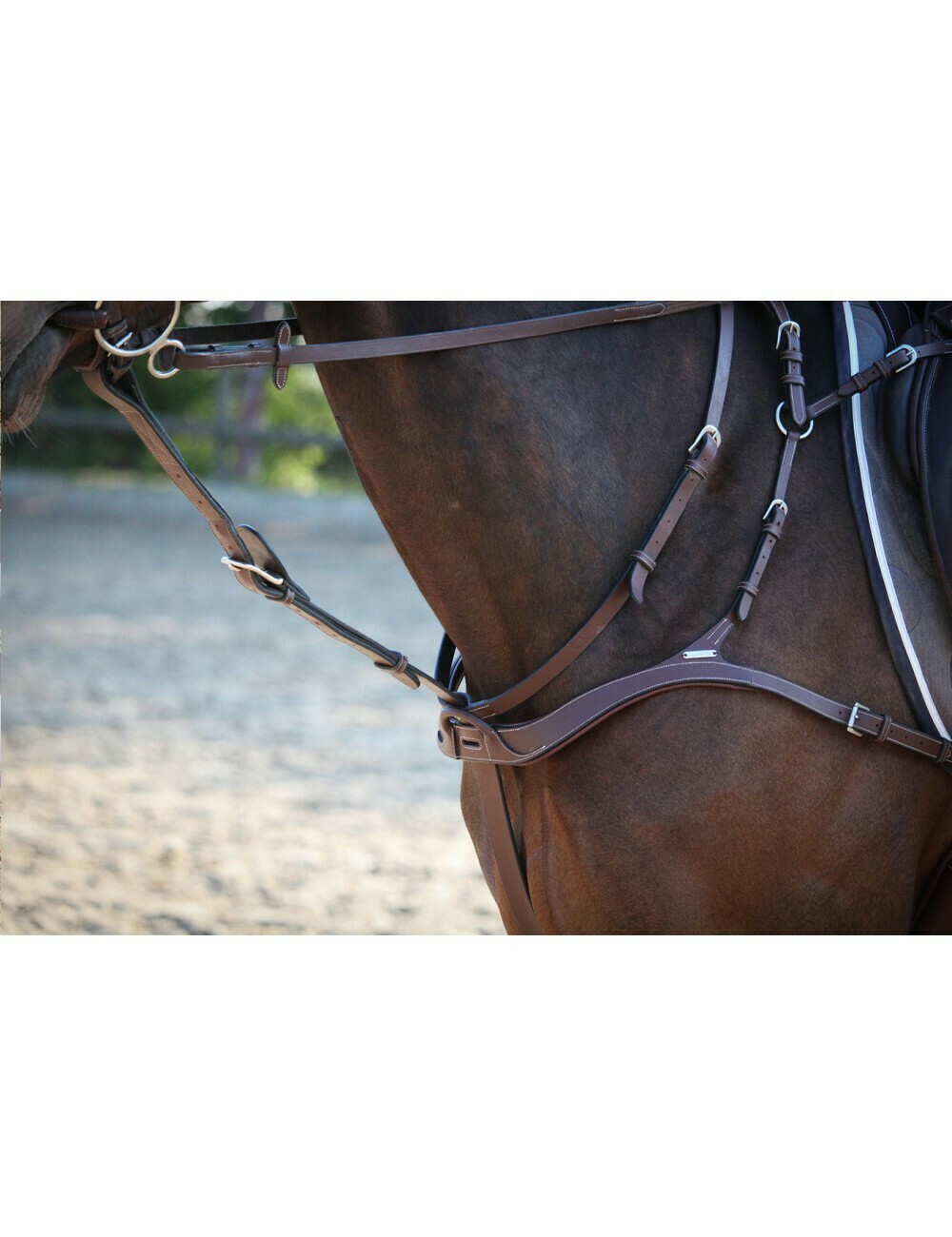 Collier De Chasse + Martingale Antarès – Marron – Fabriqué En France