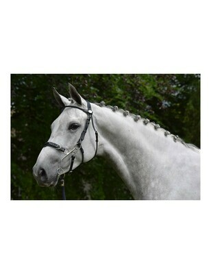 Bridon Hackamore by JUMP'IN Bridon Hackamore by JUMP'IN