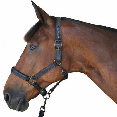 Set Licol + Longe Black by CANTER