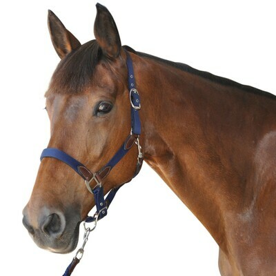 Set Licol + Longe by CANTER
