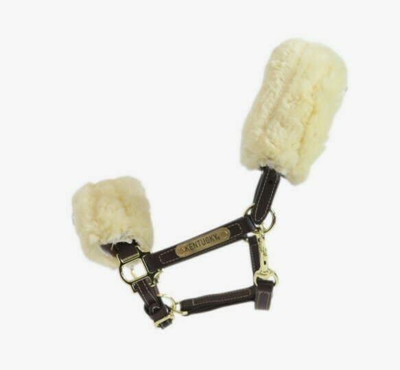 Licol Poney en Cuir Mouton by KENTUCKY