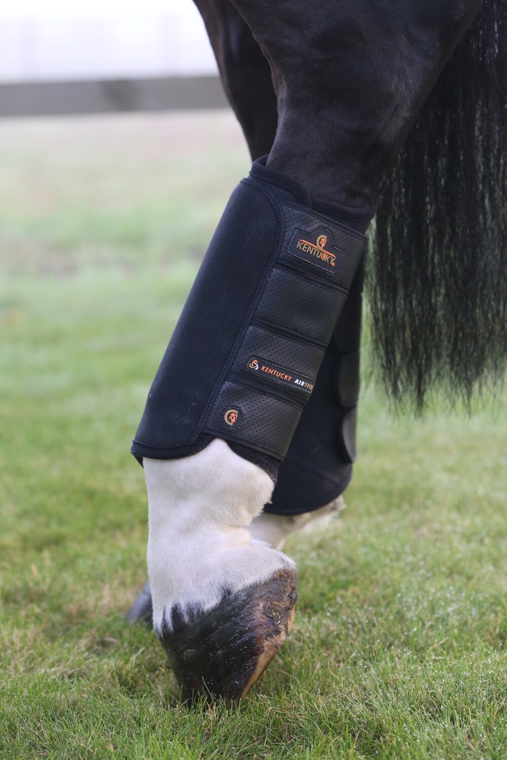 Guetre Air Tech Eventing Cross by KENTUCKY, Tailles: M, Coloris: Noir