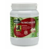 Granules Nutrigarlic + Vitalite by RAVENE