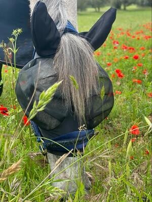 LES MASQUES &amp; GUETRES