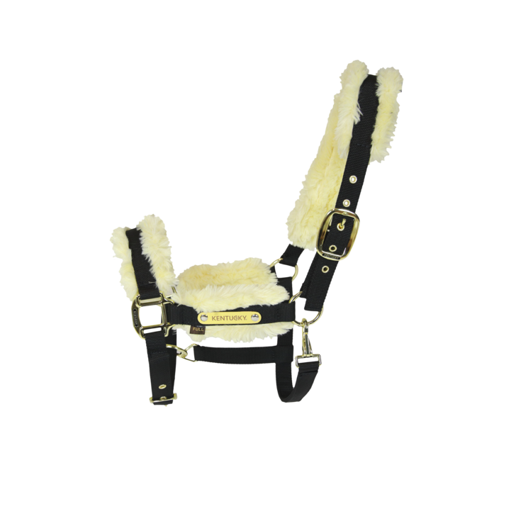 Licol Nylon Mouton by KENTUCKY
