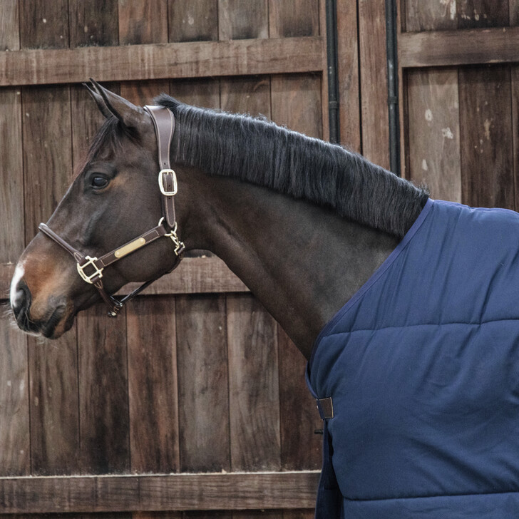 Sous couverture Classic 100g by KENTUCKY