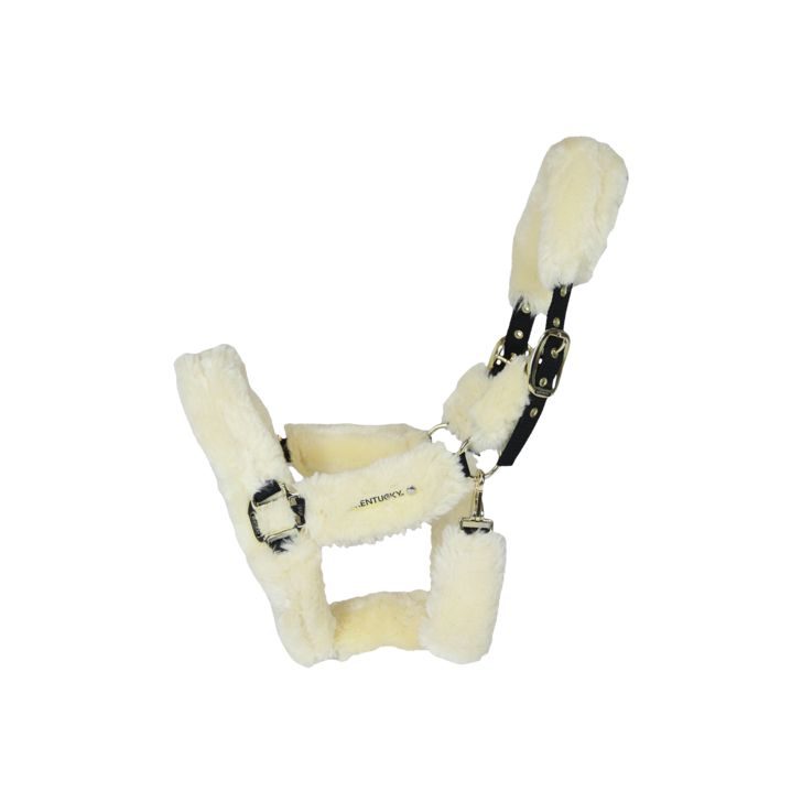 Licol de Transport Mouton by KENTUCKY
