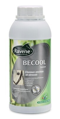 Becool 500ml by RAVENE