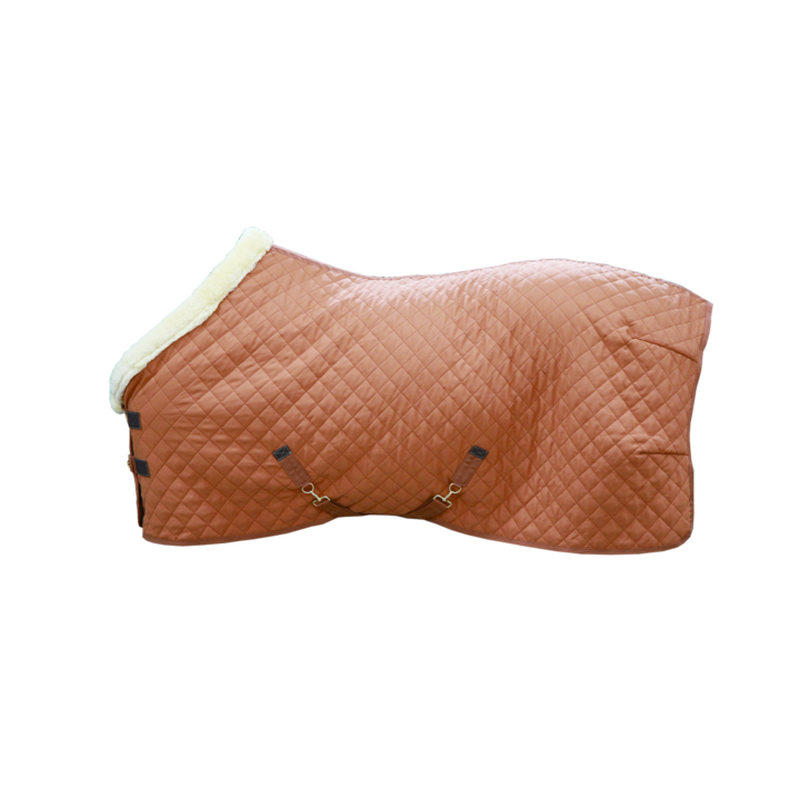 Couverture de presentation Show Rug Orange by KENTUCKY