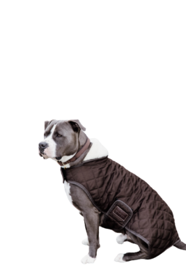Manteau Chien Original by KENTUCKY Manteau Chien Original by KENTUCKY
