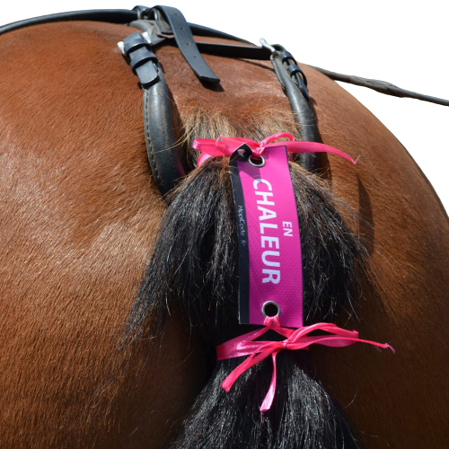 Hippicode oeillets by PRIVILEGE EQUITATION