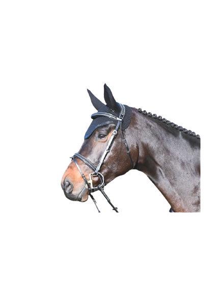 Bridon One Carat by JUMP&#39;IN, Coloris: Noir insertion shinny noir, Taille: Cob