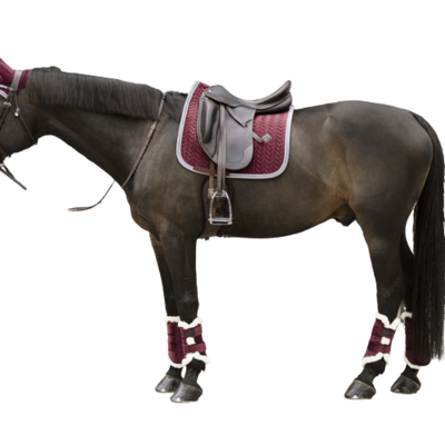 Brushing boots Velvet Contrast by KENTUCKY Brushing boots Velvet Contrast by KENTUCKY