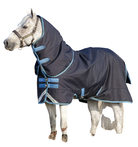 Couverture Amigo Bravo 12 Pony Plus 0g by HORSEWARE