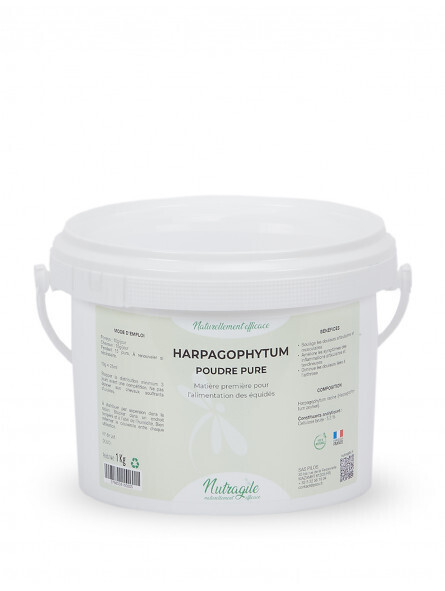 Harpagophytum by NUTRAGILE