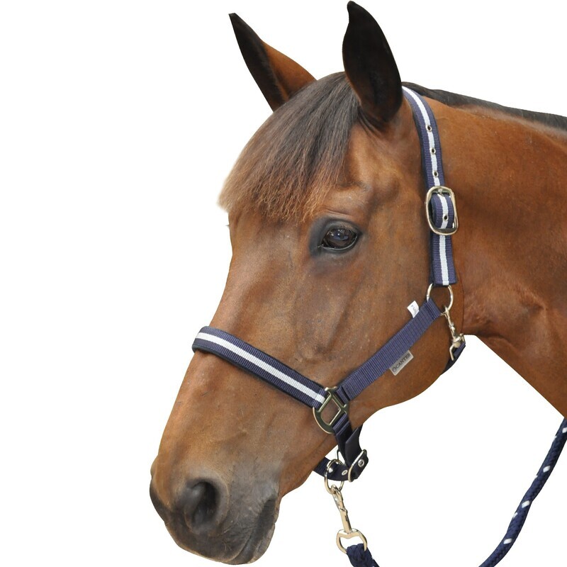 Set licol et longe Lurex by CANTER