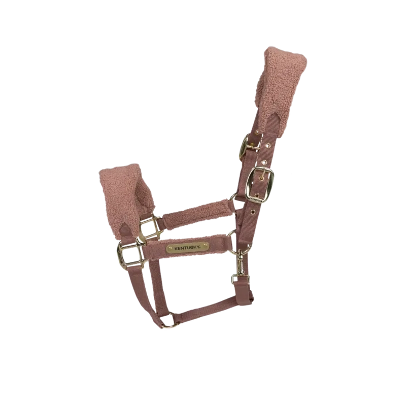 Licol Teddy Fleece vieux rose by KENTUCKY