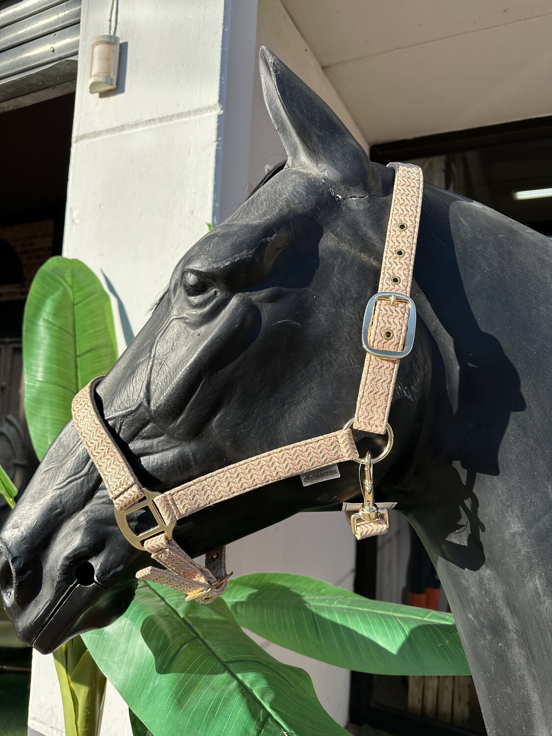 Licol Malibu by CANTER, Taille: Poney, Coloris: Beige