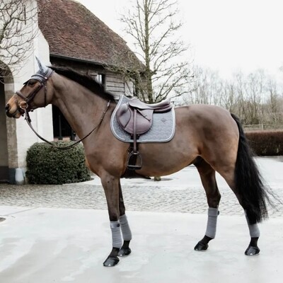 LE CHEVAL