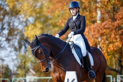 LE CAVALIER