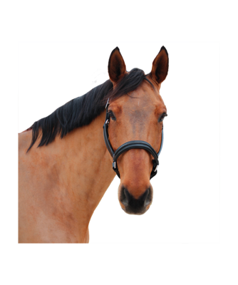 Licol Mylord by CANTER