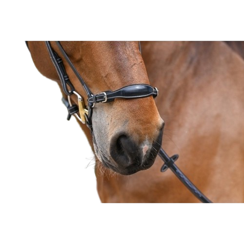 Muserolle allemande collection Week 2 boucles by JUMP&#39;IN