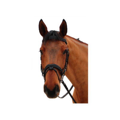 Bridon Mylord by CANTER