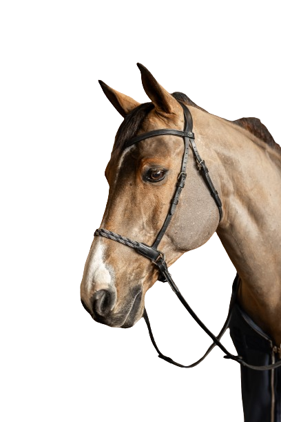 Bridon sans mors Freedoom by HFI