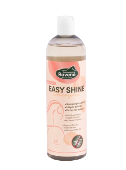 Shampoing Easy Shine by RAVENE