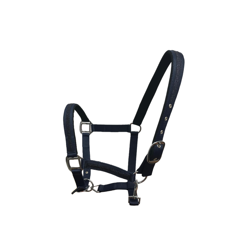 Licol + longe Atamik by FLAGS&amp;CUP