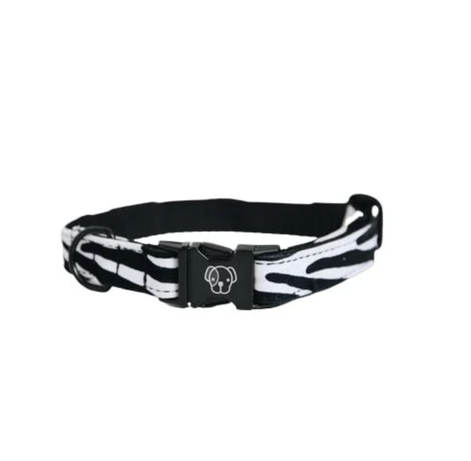 Collier chien Zebre by KENTUCKY Collier chien Zebre by KENTUCKY