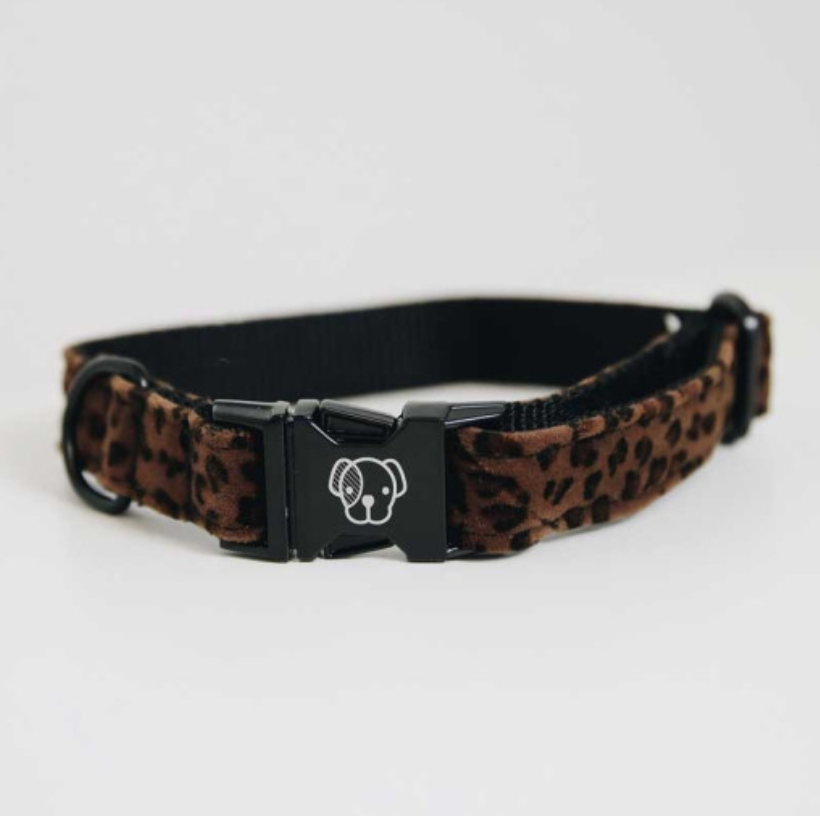 Collier chien Leopard by KENTUCKY