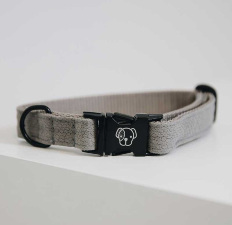 Collier chien Lizard by KENTUCKY