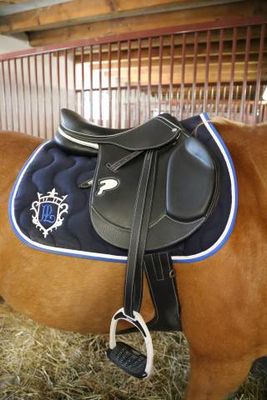 LES SELLES &amp; ACCESSOIRES