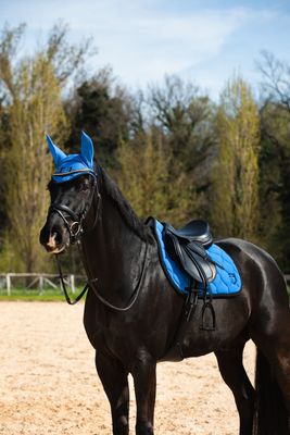 TAPIS EQUESTRO