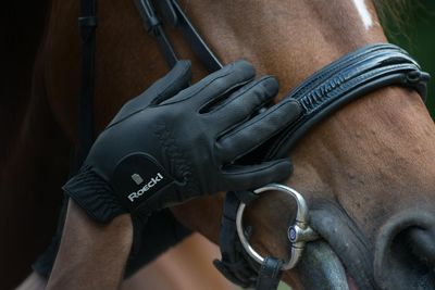 LES GANTS