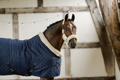 LES COUVERTURES &amp; COUVRE-REINS