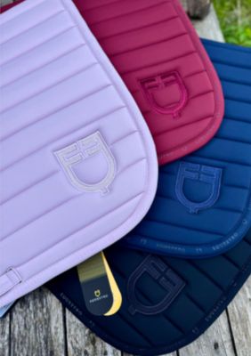 TAPIS EQUESTRO