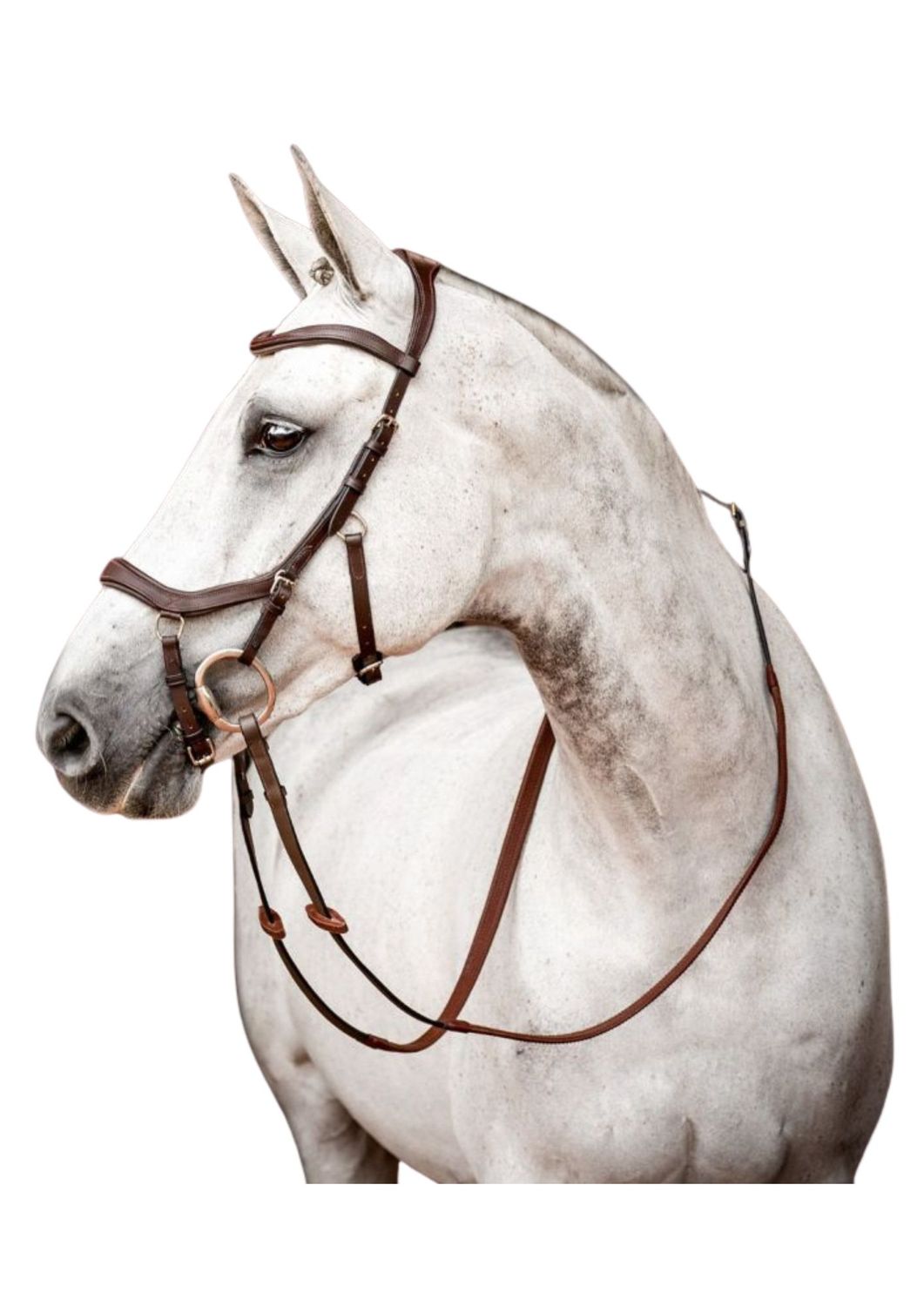 Bridon Rambo Micklem Competition by HORSEWARE