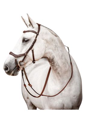 Bridon Rambo Micklem Competition by HORSEWARE