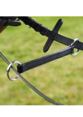 LES ACCESSOIRES DE RENES