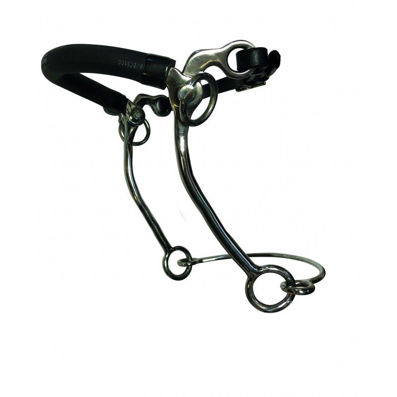 Hackamore Peals Long by JUMP'IN Hackamore Peals Long by JUMP'IN