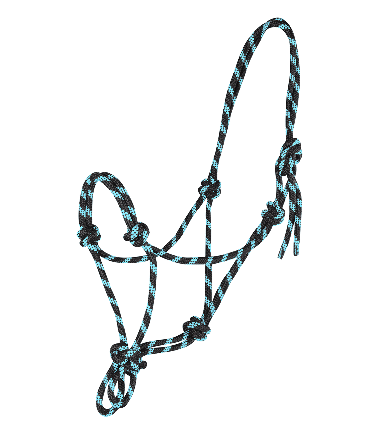 Licol Ethologique by WALDHAUSEN