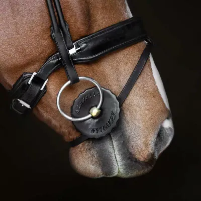 LES ACCESSOIRES DU MORS